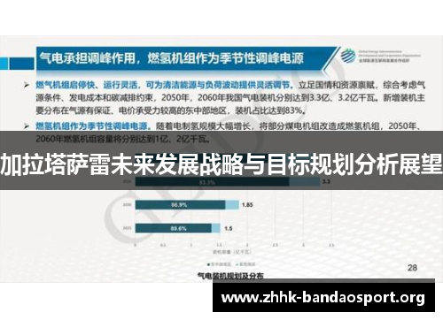 加拉塔萨雷未来发展战略与目标规划分析展望