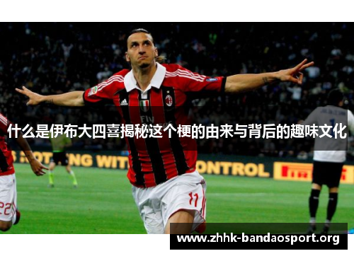 什么是伊布大四喜揭秘这个梗的由来与背后的趣味文化