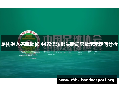 足协准入名单揭秘 44家俱乐部最新动态及未来走向分析