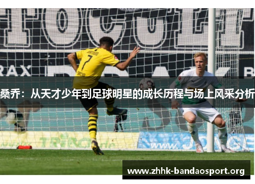 桑乔：从天才少年到足球明星的成长历程与场上风采分析